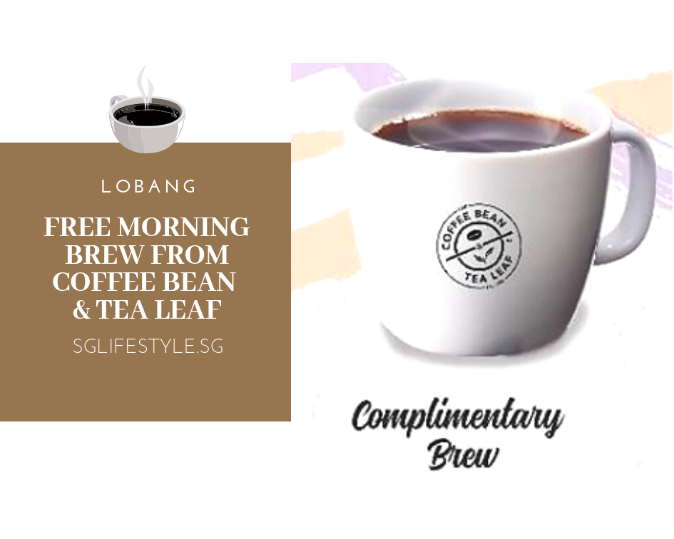 morning brew
