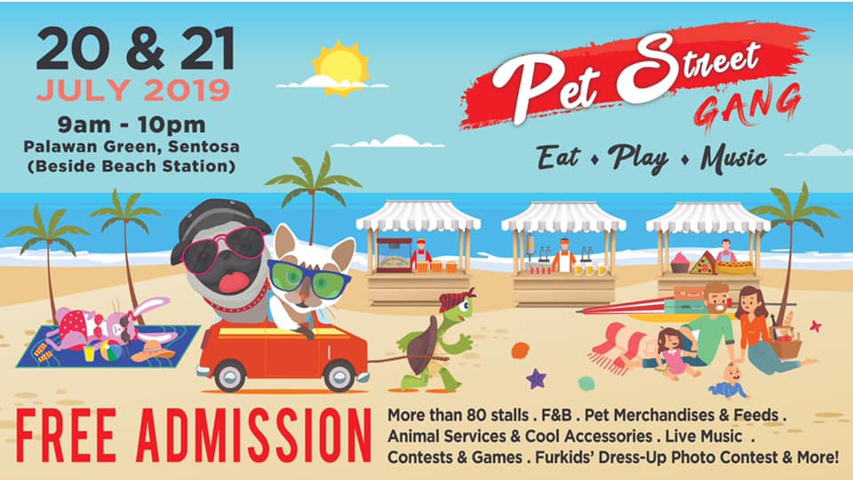 Pet Street Gang 2019