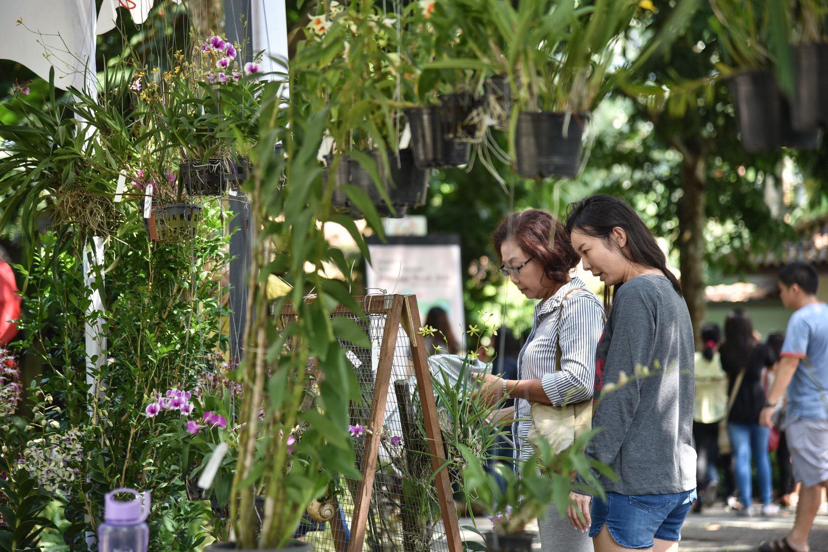 Singapore Botanic Gardens