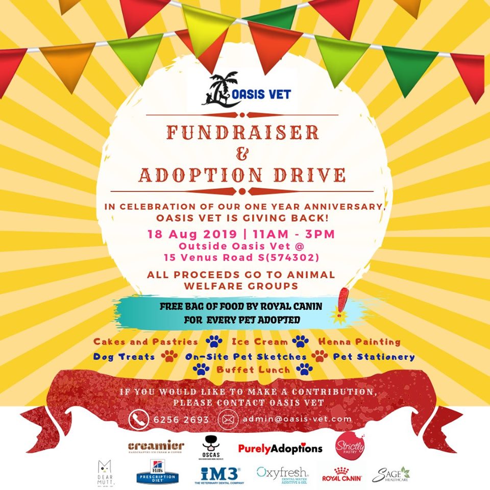 Oasis Vet Fundraiser 2019