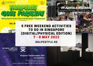 what to do in singapore 7-8 may 2022