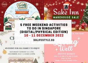 what to do in singapore 10-11 dec 2022