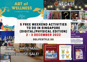 what to do singapore 2-3 dec 2022