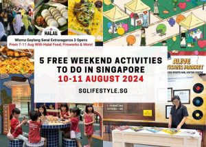 what to do sg 10-11 aug 2024