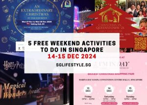weekend activities singapore 14-15 dec 2024