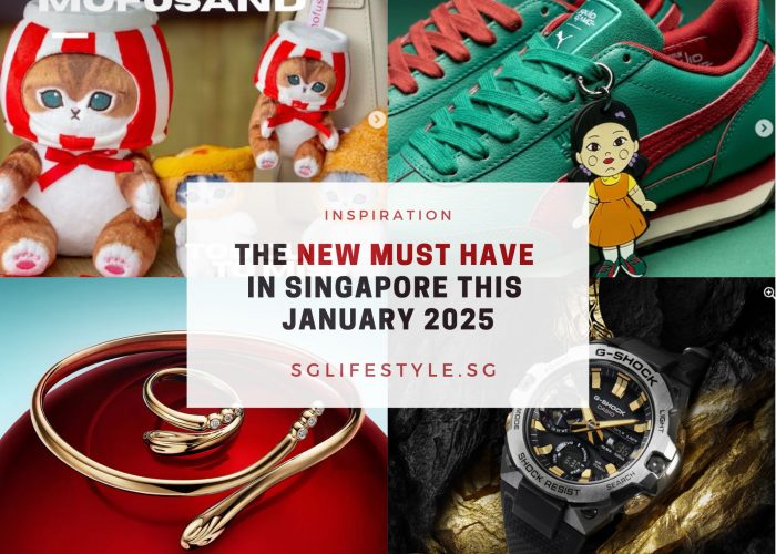 new must hve singapore jan 2025