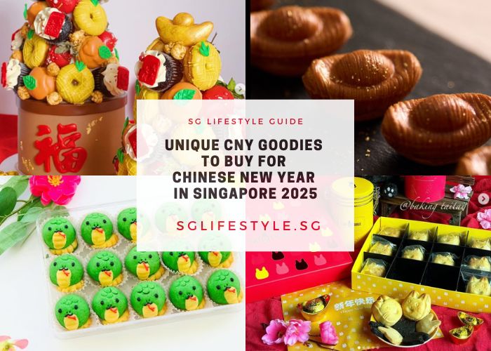 unique cny goodies 2025