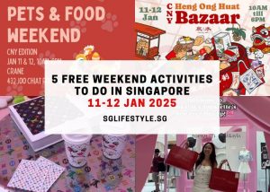 weekends what to do singapore 11-12 jan 2025